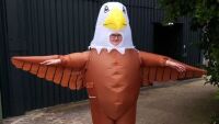 Обява за работа: Зоологическа градина търси хора за „възпиране на чайки“