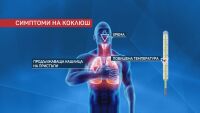Педиатър: Коклюш може да се докаже с PCR, лекува се с антибиотик