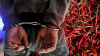 Германската полиция изпадна в недоумение след арест на мъж и лютите му чушки