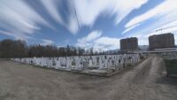 Жена е намерена мъртва на Централните софийски гробища
