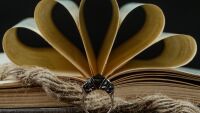 Любов, разум и общество – светът на Джейн Остин през нейните най-обичани романи