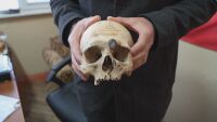 ДНК анализ на череп разкри самоличността на герой от Априлското въстание