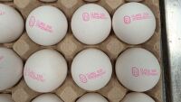 БАБХ върна около 1,3 млн. яйца в Турция
