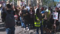 Делото за измъчване на животни: Пред Съдебната палата се проведе протест на природозащитници