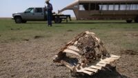 3/4 от плодородната земя по света е засегната от суши през последните 50 г.