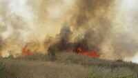 Голям пожар пламна между селата Драгомир и Мало Крушево