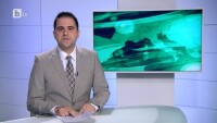 Спорт - Централна емисия - 24.08.2014 г.