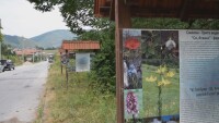 Ниски цени и добрата храна през лятото в Родопите