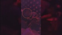 Прокуратурата се самосезира за бащата, вземал наркотици пред детето си в заведение