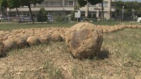 360 гюлета от Руско-турската война бяха намерени в Русе