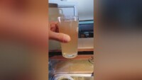 Кал от чешмите в Рибново: Какви са причините и опасна ли е водата?