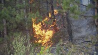 Четири деца са причинили пожара край Велинград