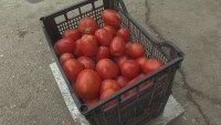 По-изгодно ли е приготвянето на зимнина на фона на високата инфлация?