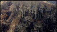 В Пирин гори върхово, пожарните екипи са били евакуирани (ВИДЕО)