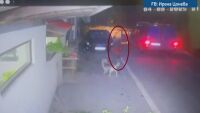 Прокуратурата ще внесе искане за задържане под стража на мъжа, убил с бухалка куче в Тетевен