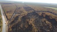 Пожарите във Франция: Огънят е потушен, но опасността не е отминала