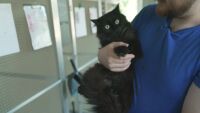 След 3 години в неизвестност: Котаракът Кико се върна при стопанката си (ВИДЕО)