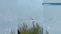 Двама души са загинали при сблъсъка на пожарни хеликоптери в Гърция (ВИДЕО)