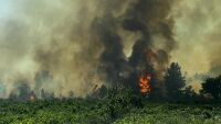 Пожар до магистрала „Тракия“ при отбивката за Велинград