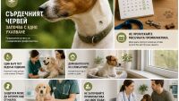 7 съвета как да предпазим кучето си от смъртоносния 