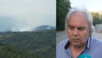 Директор в 