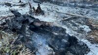 Втори дрон е намерен в Румъния в района на границата с Украйна