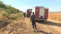 Огънят бушува вече 36 часа: Пожарът в Белослатинско изпепели над 10 000 декара