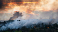 Проучване: Климатичните промени ще увеличат многократно площта на горските пожари в Европа