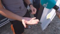 Ниското ниво на Дунав върна изгубен пръстен на влюбена двойка