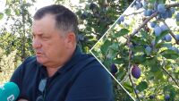 От сливи до смет: Защо производители изхвърлят продукцията си?