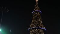 Елха грейна в морето край Бургас (ВИДЕО)