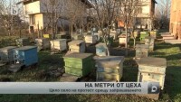Село се вдигна на бунт заради цех за преработка на слънчоглед