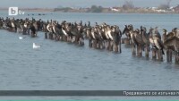 Поморие - град на солта