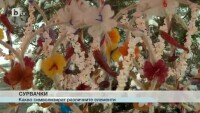 Търговците вече изкараха сурвачките