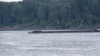 Няма отклонения от нормите за водите на река Дунав във връзка с потъналия румънски кораб