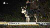 Пещерняци спасиха куче, паднало в дълбока пропаст