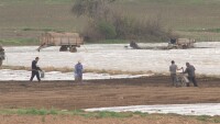 Протест срещу ниската изкупна на тютюна