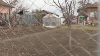 След потресаващия случай с детето, живяло в парник: Съставиха актове на учителите му
