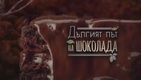 bTV Репортерите: Дългият път на шоколада