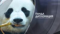 bTV разказва: Панда дипломацията