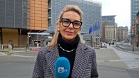ЕС замрази руските активи за неопределено време. Какво на практика означава това?