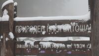 Турист е починал на Витоша, друг е пострадал при подхлъзване