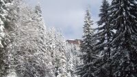 Повдигат обвинение на сина на Атанас Бобоков за притежание на наркотици с цел разпространение