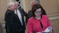 Вътрешната комисия в парламента отхвърли законопроекта на Румяна Бъчварова