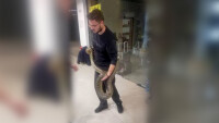 Хванаха избягалата боа от зоомагазин в пловдивски мол 
