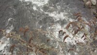 Премахнаха незаконните тръби, замърсявали водите на река Юговска 