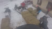  Оневинен е собственикът на конете, които загинаха в Осоговската планина през 2018 г.