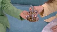 Брашно от щурец в менюто: Какво е приложението на насекомите в храната?