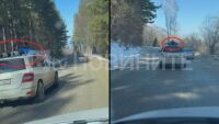 Опасно шофиране на Витоша, докато човек се премята върху покрива на автомобил (ВИДЕО)