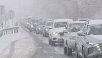 Обилен снеговалеж в цялата страна: Над 500 снегорина почистват пътищата